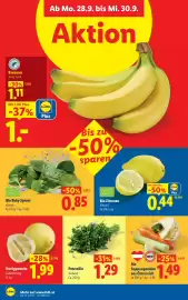 Lidl Flugblatt woche 39 Seite 45