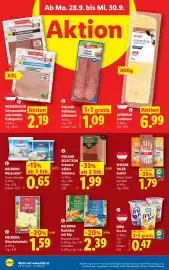 Lidl Flugblatt woche 39 Seite 47