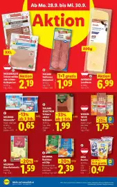 Lidl Flugblatt woche 39 Seite 47