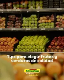 Catálogo Mercaldas Página 1
