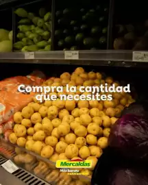 Catálogo Mercaldas Página 3