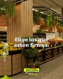 Catálogo Mercaldas Página 4