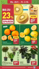 Aldi Nord Prospekt woche 40 Seite 3