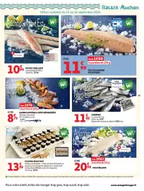 Auchan folder Pagina 15