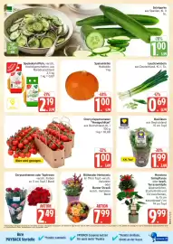 Marktkauf Prospekt Seite 5