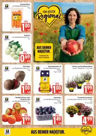 Marktkauf Prospekt Seite 9