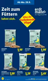 Lidl Prospekt woche 40 Seite 26