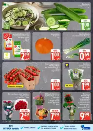 Edeka Prospekt woche 39 Seite 5
