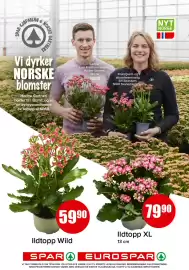 Spar uke 39 Side 15: Ildtopp XL €79,90, Ildtopp Wild €59,90