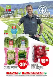 Spar kundeavis uke 39 Side 3: Gartner små tomater €49,90, Gartner/Onna Norske salater