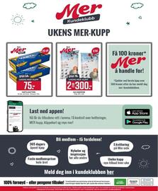 Europris kundeavis uke 39 Side 14: Varta batteri €75,00, Solsikkefrø €300,00