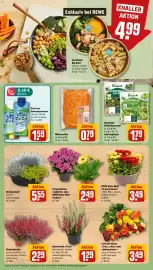 REWE Kaufpark Prospekt woche 39 Seite 7