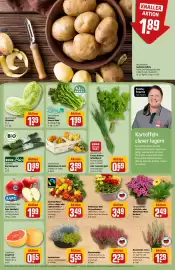 REWE Center Prospekt woche 39 Seite 13
