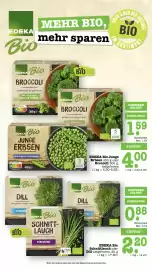 Scheck-in-Center Prospekt woche 39 Seite 42