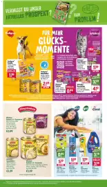 Wasgau Prospekt woche 39 Seite 24