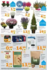 Globus Baumarkt Prospekt woche 39 Seite 13