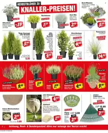 Repo Markt Prospekt woche 39 Seite 2