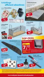 Sonderpreis Baumarkt Prospekt woche 39 Seite 11