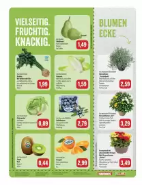 Feneberg Prospekt Seite 8