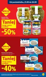 Lidl gazetka Strona 17