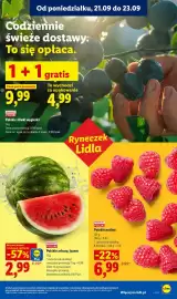 Lidl gazetka Strona 33: Śliwki węgierki polskie €4,99, Arbuzy polskie €2,99