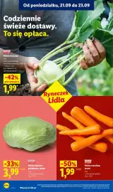 Lidl gazetka Strona 34: Kalarepa polska €1,99, Marchew polska €1,99