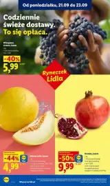 Lidl gazetka Strona 36: Winogrona ciemne luzem Ryneczek Lidla €5,99, Granaty luzem Ryneczek Lidla €9,99