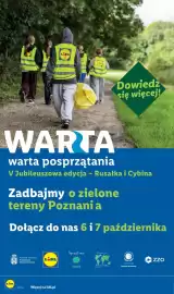 Lidl gazetka Strona 98