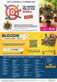 Volantino SeBón Supermercati Pagina 12
