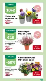 AVEVE folder Pagina 29