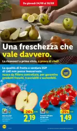 Volantino Lidl settimana 39 Pagina 4: Mele Gala IGP €2,19, Pomodori Ciliegino Pachino IGP €1,49