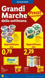 Volantino Lidl settimana 39 Pagina 48: BONDUELLE Insalate Regionali €2,29, ARBOREA Ayo Kefir senza lattosio €0,79
