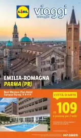 Volantino Lidl settimana 39 Pagina 50