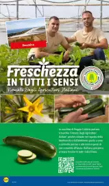 Volantino Lidl settimana 39 Pagina 6