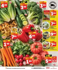 Topaz gazetka tydzień 39 Strona 11: Lunchbox Hi-Pro Freshline €9,99, Sałatka rzymska mini €4,49