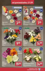 ALDI gazetka tydzień 39 Strona 7: Bukiet chryzantem €14,99, Bukiet chryzantem €19,99