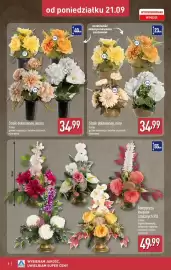 ALDI gazetka tydzień 39 Strona 8: Sztuka Stroik dekorowany, misa €34,99, Stroik dekorowany, wazon €34,99