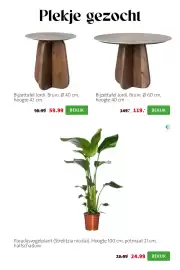 Intratuin folder week 39 Pagina 7: Paradijsvogelplant €24,99, Bijzettafel Jordi €119,00