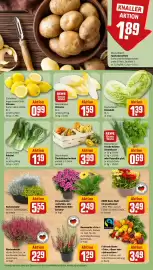 REWE Prospekt woche 39 Seite 13