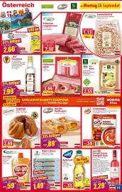 Norma Prospekt woche 40 Seite 11: Up&go Squeezer Sunny Porridge €1,59, Käpt'n Nossa Salami Snack €1,49