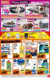 Norma Prospekt woche 40 Seite 13: Waffeln Winterglück €1,99, Knoppers €3,99