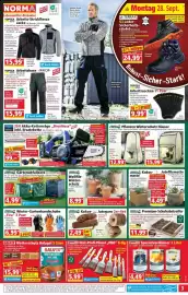 Norma Prospekt woche 40 Seite 3: Holz-Profi-Pinsel PRO €5,99, Premium-Schuhabstreifer €11,99