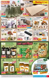 Norma Prospekt woche 40 Seite 5: Bella casa Dekokissen "Teddyplüsch" €7,99, Power Charge Stromsortiment €13,99