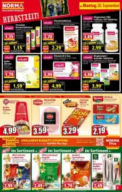 Norma Prospekt woche 40 Seite 9: Citella Mortadella €3,59, Mini Schoko-Lebkuchen Goldora €2,99