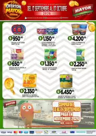Catálogo Supermercados Mayor Página 2: Cumaná atún desmenuzado €1.150,00, Knorr salsas listas 340 gr. vs. sabores €1.350,00