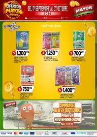 Catálogo Supermercados Mayor Página 5: Deterclean detergente €1.250,00, Smart clean desinfectante en polvo €1.200,00