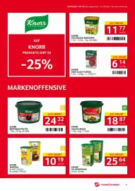 Transgourmet Flugblatt woche 40 Seite 13