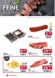 Transgourmet Flugblatt woche 40 Seite 22