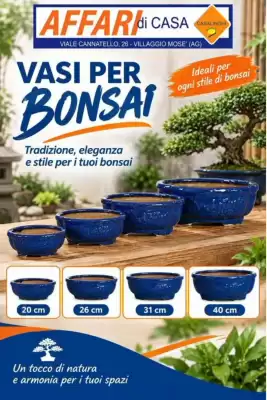 Affari di casa (valido fino al 2-10)