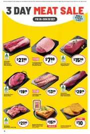 Ritchies catalogue week 38 Page 14